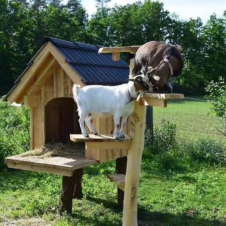 Neueröffnung Ferienwohnung Mit Bauernhofflair Petzenblick * Kühnsdorf